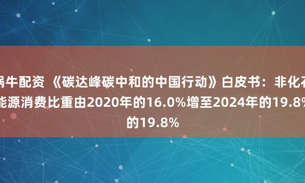 锅牛配资 《碳达峰碳中和的中国行动》白皮书：非化石能源消费比重由2020年的16.0%增至2024年的19.8%
