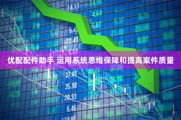 优配配件助手 运用系统思维保障和提高案件质量
